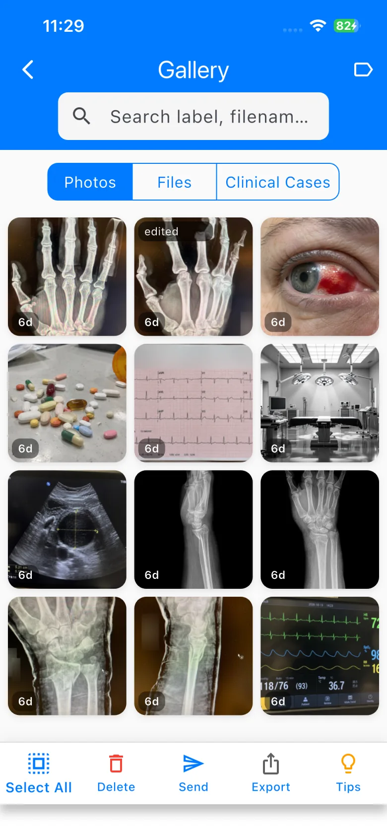 EMMS encrypted gallery: clinical images with retention countdowns, outside the camera roll