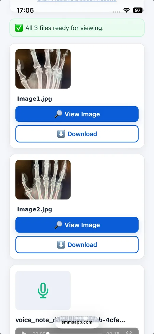 SMS secure link recipient view in browser